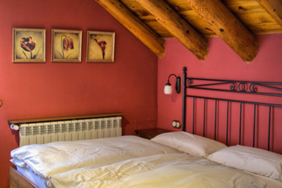 HOTEL RURAL EL MIRADOR DE LOS PIRINEOS - photo 1