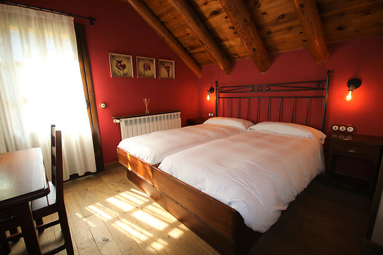HOTEL RURAL EL MIRADOR DE LOS PIRINEOS - photo 14