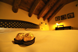 HOTEL RURAL EL MIRADOR DE LOS PIRINEOS