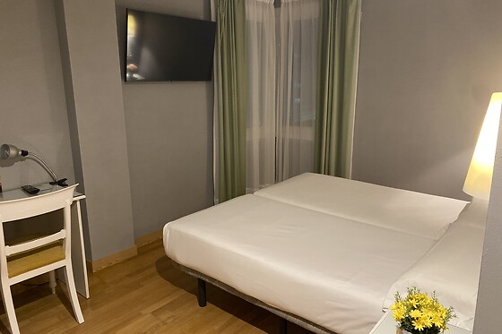 HOTEL VILLA DE ERMUA - photo 4