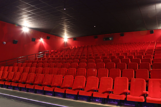 Cinéma Wellington - photo 4