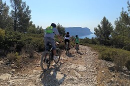 Trolib Cassis