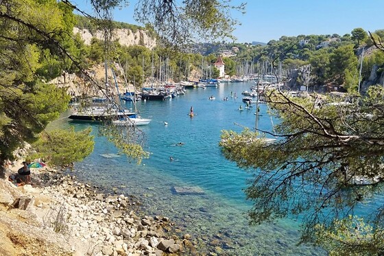 Trolib Cassis - photo 2