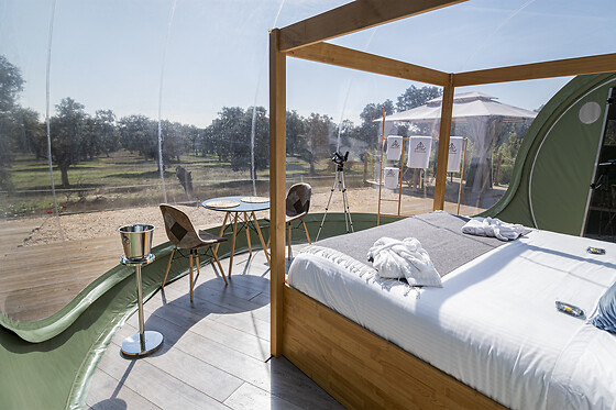 EL TORIL - photo 1