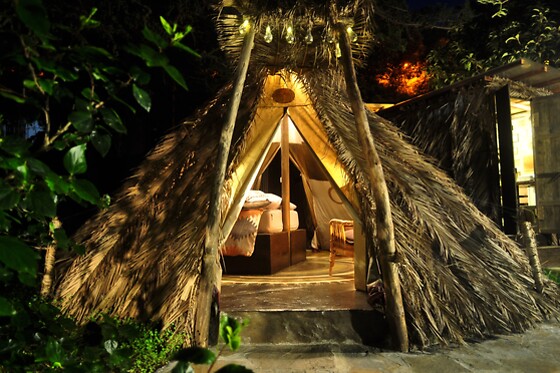 STUDIO MAZO THE GLAMPING - photo 0