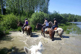 Poney Club de Saint-Christophe