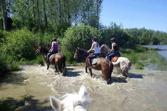 Poney Club de Saint-Christophe - photo 1