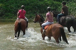 Poney Club de Saint-Christophe