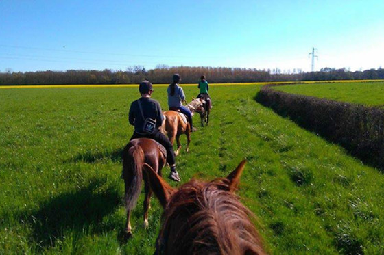 Poney Club de Saint-Christophe - photo 2