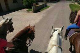 Poney Club de Saint-Christophe