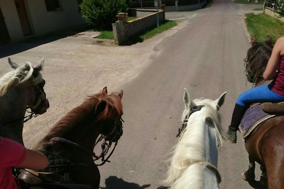 Poney Club de Saint-Christophe - photo 9
