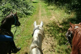 Poney Club de Saint-Christophe