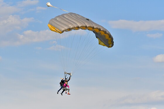CERPS de TALLARD - photo 1