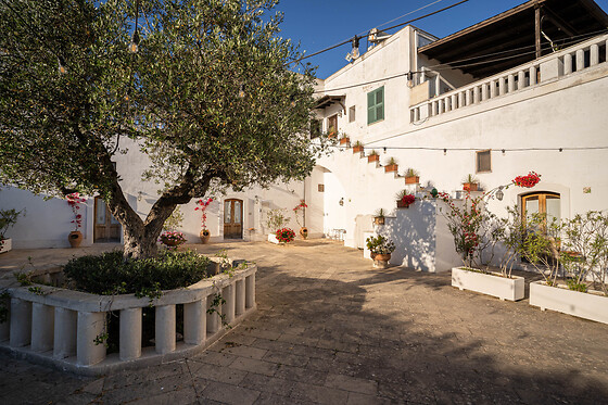 Agriturismo Tenuta del Barco - photo 11