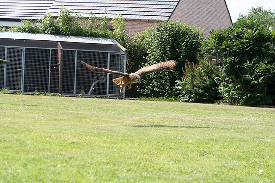 Valkerij De Kaproen - photo 0