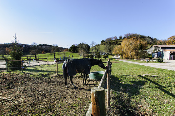 Domaine de la Trille - photo 7