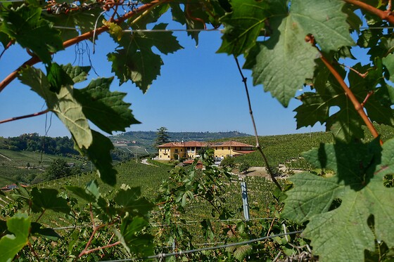Az. Agr. Costa di Bussia – Tenuta Arnulfo s.s. - photo 6