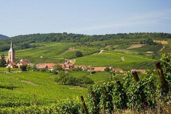 DETOUR ALSACE - photo 16