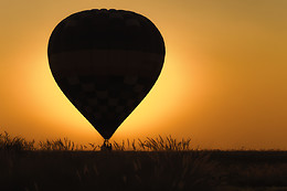 GLOBOS BOREAL