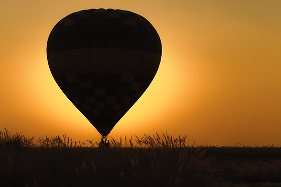 GLOBOS BOREAL - photo 6
