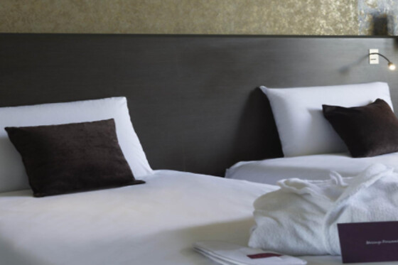 Mercure Thionville Centre - photo 4