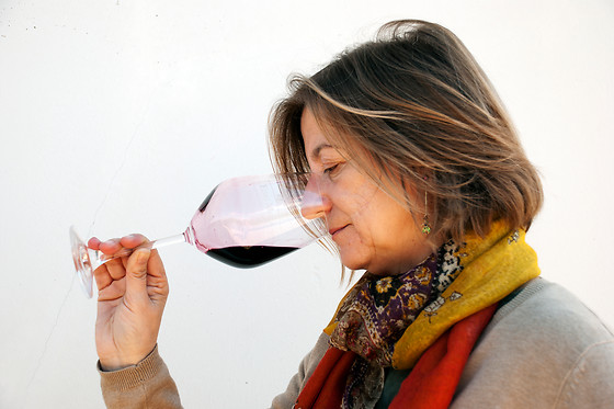 BODEGAS ELIAS MORA - photo 3