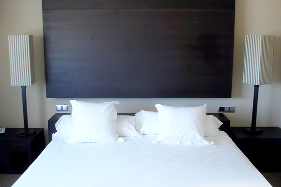 HOTEL PAGO DEL VICARIO - photo 3
