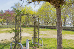 Le Jardin de Sully