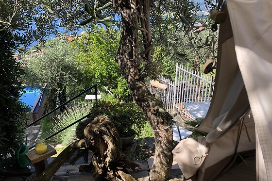 Glamping Portofino - photo 9
