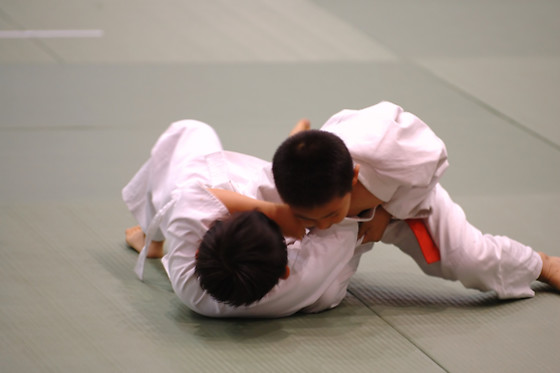 BOWGYM - photo 7