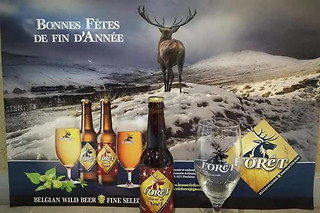 Visite de la brasserie et dégustation pour 2 à la Brasserie artisanale Forêt à Sart-Poulseur (Liège)