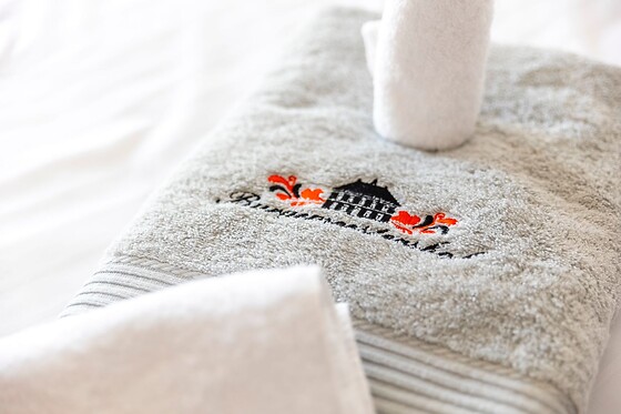 B&B Burgemeestershof & privé wellness - photo 9