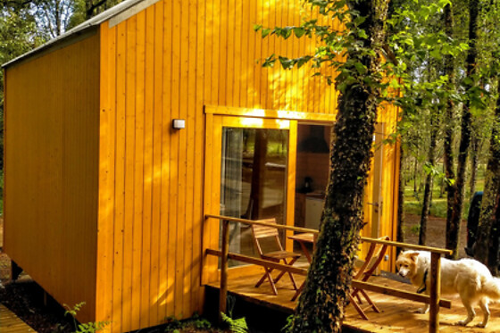 CABANAS DA ULLA - photo 1