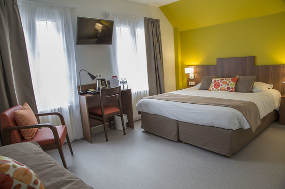 Logis Hôtel Cosy Chaptal Amboise - photo 10