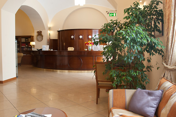 Le Cheminée Hotel - photo 8