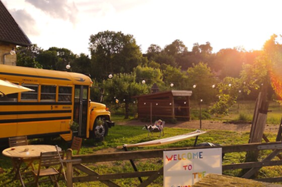 The School Bus - photo 0