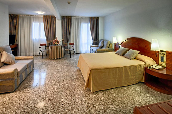 HOTEL GAUDI - photo 4