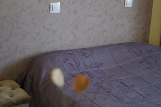 Online Booking EPS - photo 5