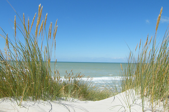Auberge de la Dune - photo 5