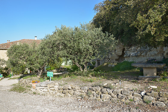 Les conils - photo 8