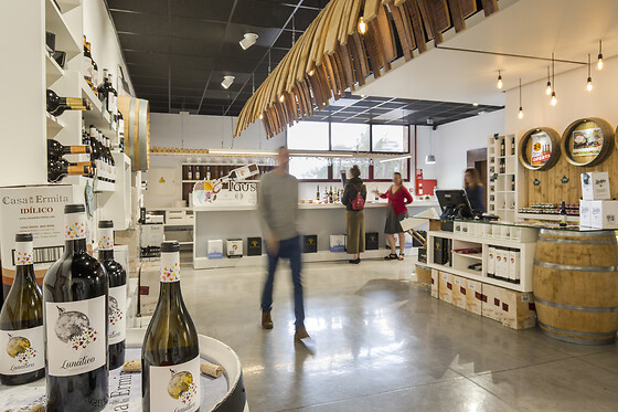 MUSEO DEL VINO CASA DE LA ERMITA - photo 2