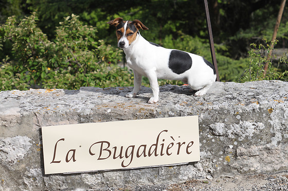 La Bugadière - photo 0