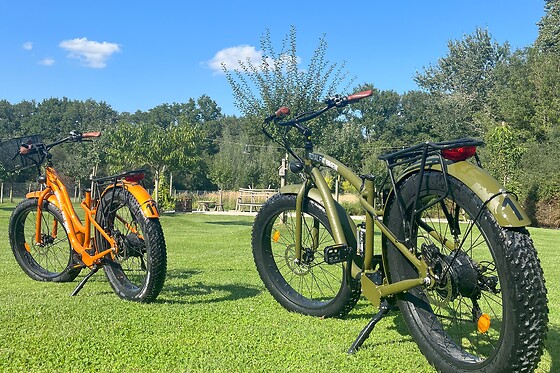 Royal Fat Bike - photo 1