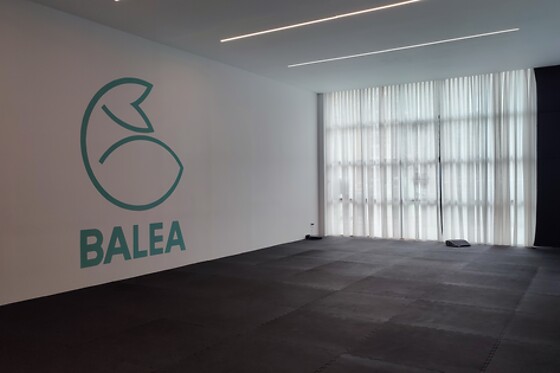 BALEA AKROYOGA - photo 3