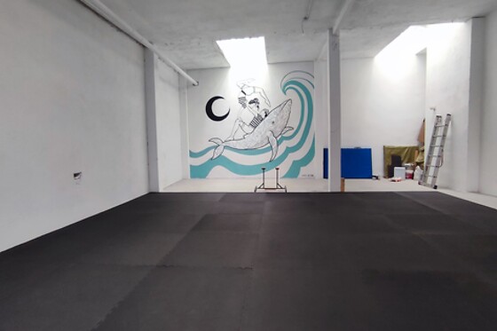 BALEA AKROYOGA - photo 5