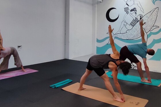 BALEA AKROYOGA - photo 6