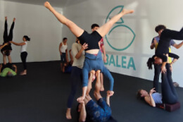 BALEA AKROYOGA