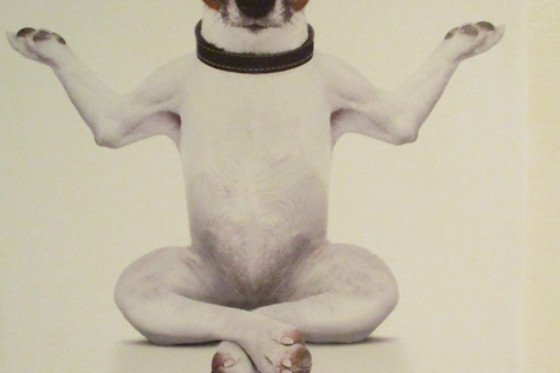 Joel Deschenaux / Baan massages - photo 11