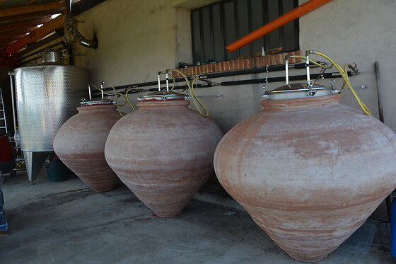 Le Terre Rosse di Mombaruzzo - photo 0