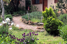 LA CERCA DEL ALCORNOQUE